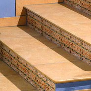 Exagres - Vega Camel